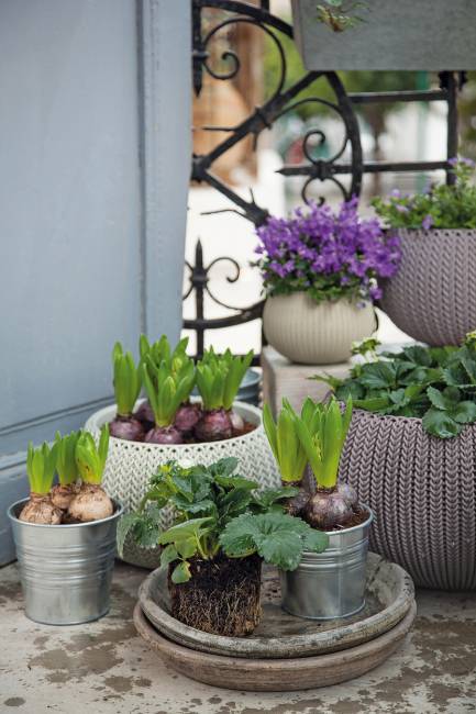 Кашпо Cozies S подвесное коричневый