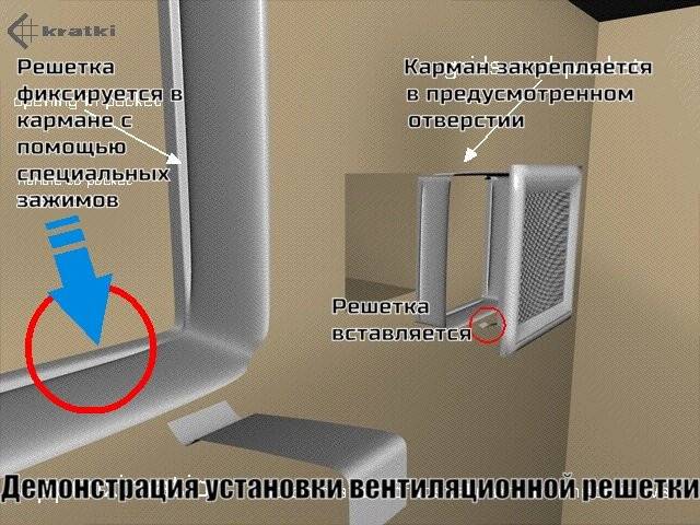 11x24 Venus бежевая