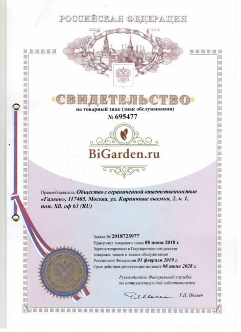 Двойное подвесное кресло "Gemini promo White" без стойки, голубая подушка